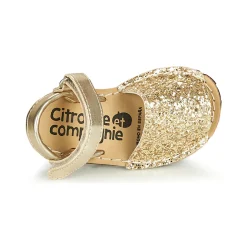 Citrouille et Compagnie - SQUOUBEL