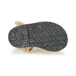 Citrouille et Compagnie - SQUOUBEL