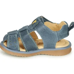 Citrouille et Compagnie - MARINO