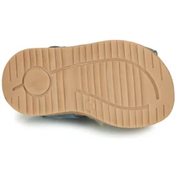 Citrouille et Compagnie - MARINO