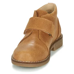 Citrouille et Compagnie - LAPUPI