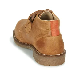 Citrouille et Compagnie - LAPUPI