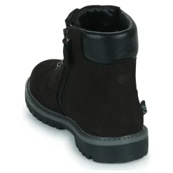 Citrouille et Compagnie - PACITO