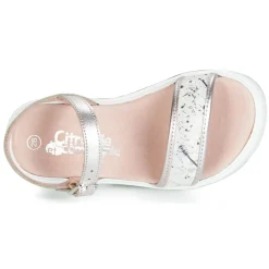 Citrouille et Compagnie - JIMINITE