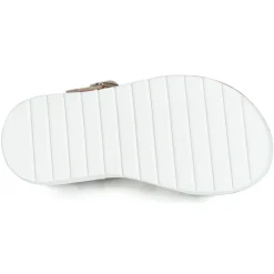 Citrouille et Compagnie - JIMINITE