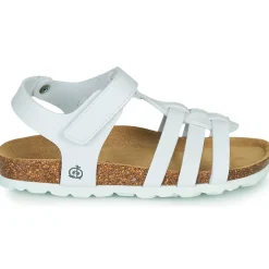 Citrouille et Compagnie - JANISOL