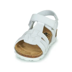 Citrouille et Compagnie - JANISOL