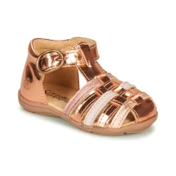 Citrouille et Compagnie - RINE