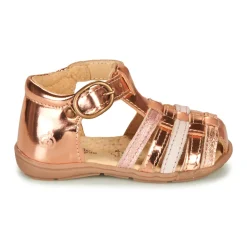 Citrouille et Compagnie - RINE