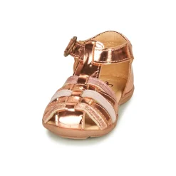 Citrouille et Compagnie - RINE