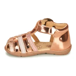 Citrouille et Compagnie - RINE