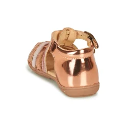 Citrouille et Compagnie - RINE