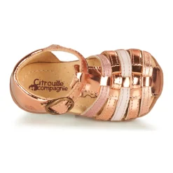 Citrouille et Compagnie - RINE