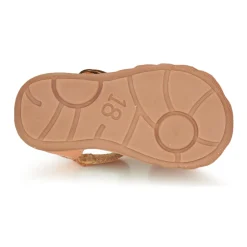 Citrouille et Compagnie - RINE