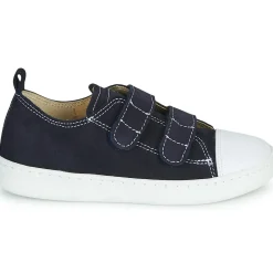 Citrouille et Compagnie - NADIR