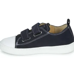 Citrouille et Compagnie - NADIR