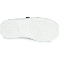 Citrouille et Compagnie - NADIR