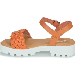 Citrouille et Compagnie - NASAKO