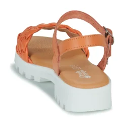 Citrouille et Compagnie - NASAKO