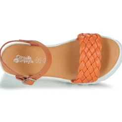 Citrouille et Compagnie - NASAKO