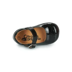 Citrouille et Compagnie - PULLO