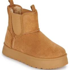 Citrouille et Compagnie - TIPI