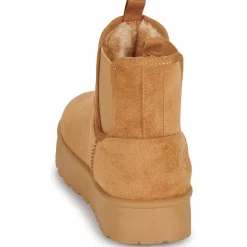 Citrouille et Compagnie - TIPI