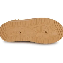 Citrouille et Compagnie - TIPI