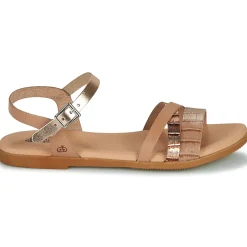 Citrouille et Compagnie - OBINOU