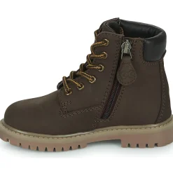 Citrouille et Compagnie - PACITO