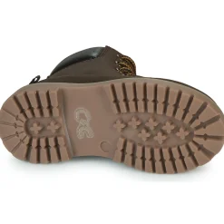 Citrouille et Compagnie - PACITO