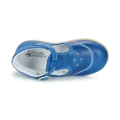 Citrouille et Compagnie - GODOLO