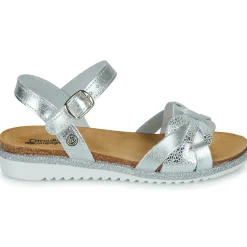 Citrouille et Compagnie - ANEMONI