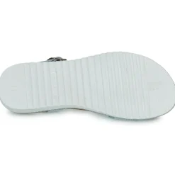 Citrouille et Compagnie - ANEMONI