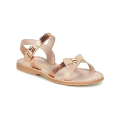 Citrouille et Compagnie - JISCOTTE