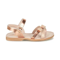 Citrouille et Compagnie - JISCOTTE