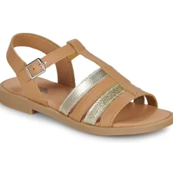 Citrouille et Compagnie - MIMOSA