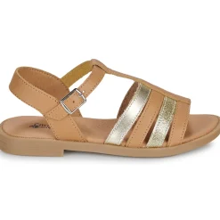 Citrouille et Compagnie - MIMOSA