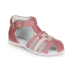 Citrouille et Compagnie - RINE