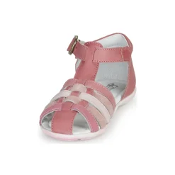 Citrouille et Compagnie - RINE