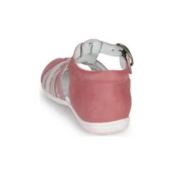 Citrouille et Compagnie - RINE