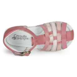 Citrouille et Compagnie - RINE