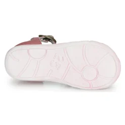 Citrouille et Compagnie - RINE