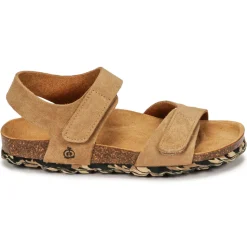 Citrouille et Compagnie - BELLI JOE