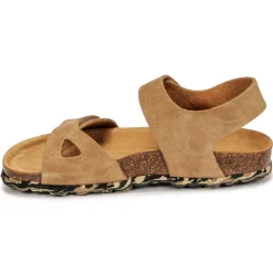 Citrouille et Compagnie - BELLI JOE