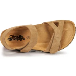 Citrouille et Compagnie - BELLI JOE