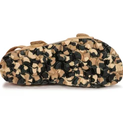 Citrouille et Compagnie - BELLI JOE