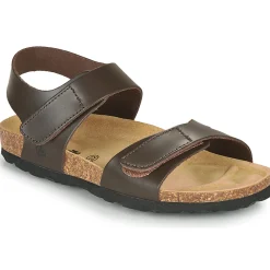 Citrouille et Compagnie - BELLI JOE