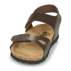 Citrouille et Compagnie - BELLI JOE