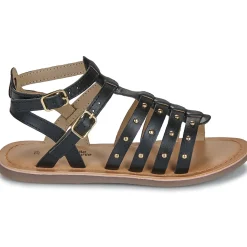 Citrouille et Compagnie - GLYDA